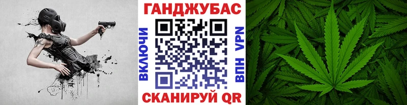 где найти наркотики  Трёхгорный  Конопля ГИДРОПОН 